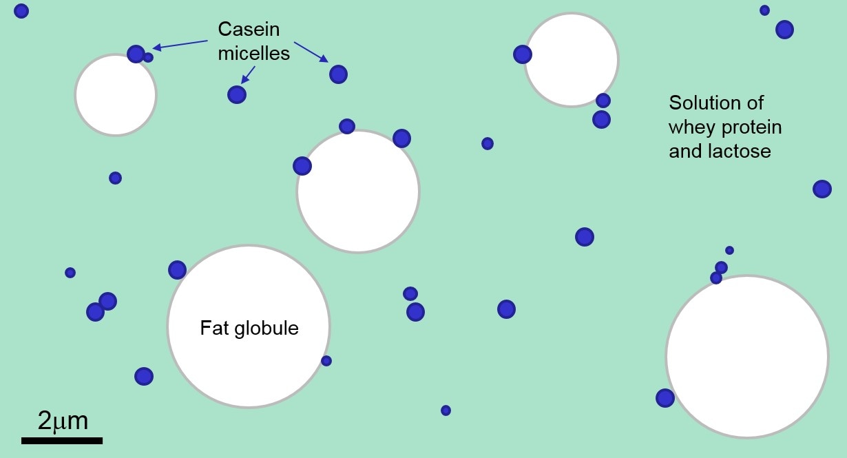 Lipid Emulsion Ph Stability At Angela Link Blog