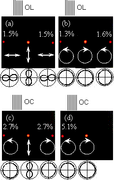 AZOJOMO - The AZO Journal of Materials Online - Typical examples of the diffraction patterns passed through one-dimensional polarization gratings.  In each picture, the diffraction efficiencies are shown at the top, the diffraction patterns are shown in the middle, and the polarization states are shown at the bottom.  The polar plot for each diffraction beam was shown at the bottom of the picture