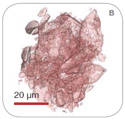 Ftir