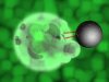 This course will present a review of the state of the art of materials structured at the nanometric level. It will cover characterisation, processing, nanostructured materials and commercial perspectives.