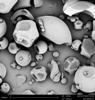 The Phenom's intuitive touch-screen controls and never-lost sample navigation features remove the difficulties associated with operating a traditional SEM.