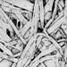 The process of turning raw cellulose fibers into finished paper products requires sophisticated lab tools to evaluate paper composition, bonding properties, coatings thicknesses and surface uniformity throughout the development and manufacturing process.