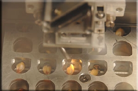 Laser-Assisted Seed Selection uses a 120-watt carbon dioxide laser to score a small slice from a seed to capture its genetic information.