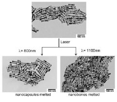 The top image shows a mixture of gold nanoparticles. The longer particles are called nanobones, and the smaller are nanocapsules. Bottom left: After the nanoparticles are hit with 800 nanometer wavelength infrared light, the nanocapsules melt and release their payload. Nanobones remain intact. Right: After the nanoparticles are hit with 1100 nanometer wavelength infrared light, the nanobones melt and release their payload. Nanocapsules remain intact. Image / Andy Wijaya.
