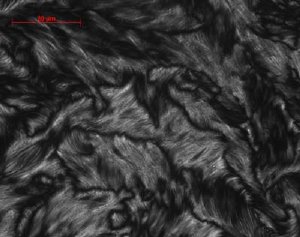 The liquid-crystaline phase of carbon nanotubes dissolved in chlorosulfonic acid. Credit: Matteo Pasquali/Rice University.