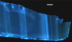  Kathodoluminescence (CL) of a polished fragment of a zircon. 
