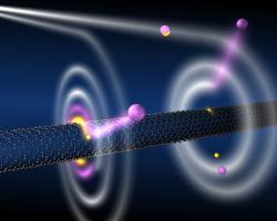 Carbon Nanotubes Exhibit Behaviour Akin to Black Holes