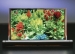 DuPont shows intention to bring together the elements needed to mass produce OLED displays, delivering higher performance at a lower cost.