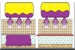 ctive Layer RS films contain a minimum of 20 percent renewably sourced content by weight, derived from naturally occurring fatty acids, and replaces existing moisture barrier films that are entirely petroleum-based. 