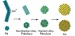 A team of researchers from Brookhaven, Yeshiva University, and the University of Delaware has demonstrated a new, highly efficient way to synthesize the nanocatalysts based on palladium and gold.