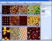 Detecting and quantifying particles, pores and grains have never been easier. With the new Particle & Pore Analysis Module from Image Metrology you can detect any type of surface feature on virtually any background. 