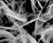 Tel Aviv University researcher Prof. Noam Eliaz of the TAU School of Mechanical Engineering has developed an electrochemical process for coating metal implants which vastly improves their functionality, longevity and integration into the body. 