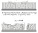 Farfield has developed an application to better understand why bee stings hurt. Using their unique Dual Polarisation Interferometry (DPI) technology embodied in the Analight® 4D instrument range, the membrane - antimicrobial interaction can be studied.