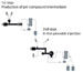 For compounding peroxide cross-linkable polyethylene (XLPE) as insulation for high-voltage power cables, the Swiss company Buss AG, Pratteln, has developed an innovative processing system and the operational know-how required.