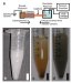 The goal of an integrated, miniaturized laboratory analysis system, also known as a 