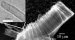 Most people would like to be able to charge their cell phones and other personal electronics quickly and not too often. A recent discovery made by UC San Diego engineers could lead to carbon nanotube-based supercapacitors that could do just this. 