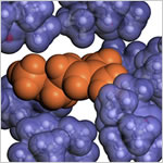 Materials Studio: Materials Science Modeling and Simulation Software