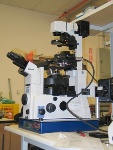 Environmental Isolation Solutions for Research Microscopes