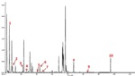 Application of High Resolution Time-of-Flight Mass Spectrometry for Metabolite Profiling