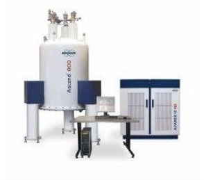 Bruker Nmr