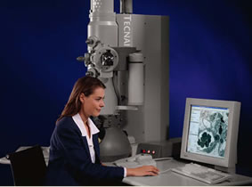 FEI Tecnai Family of Transmission Electron Microscopes 