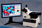 OmniMet Image Acquisition and Analysis from Buehler
