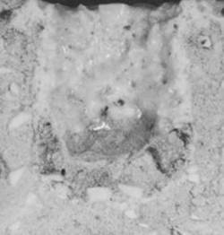 AZoJomo - The AZO Journal of Materials Online - Static test to 1450°C during 4 h, (b) composition 4:43-37-20