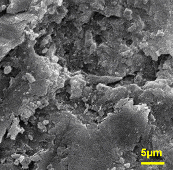 AZoJoMo – AZoM Journal of Materials Online - SEM microstructure of the HP slag-sialon sample after the erosion.