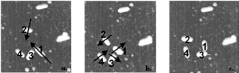 AZoM - The A to Z of Materials - A sequence of SFM images (500nm x 500nm scan size) displaying the manipulation of four gold nanorods. The arrows in each image show the manipulation direction that results in the rod configuration in the next image: (a) Initial arrangement of the rods; (b) result of translational manipulations of "1" along it s longitudinal axis and "2" acrossthis axis; (c) results of rotational manipulation operations of all four rods by 45°, relative to their original orientation. The height scale from black to white is 10nm.