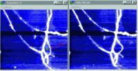 AZoM - The A to Z of Materials - Using an AFM tip to bend nanotubes