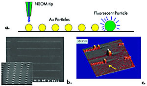 AZoM - The A to Z of Materials - Plasmonic waveguide: (a) Schematic of a plasmonic waveguide, (b) SEM micrographs of e-beam lithography fabricated gold nanostructures, and (c) AFM image of a latex bead (marked by yellow arrow) that was manipulated to the end of the gold nanostructures matrix.
