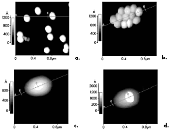 AZoM - The A to Z of Materials - Sequence of AFM images showing the construction of a 3D nanostructure: a) randomly deposited particles, b) after manipulation, c) after sintering at 160 ± 2ºC for 10 minutes, d) after a single particle is ‘pushed’ on top of the island.