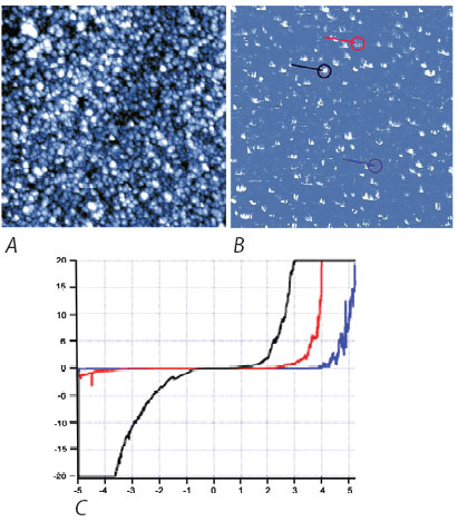AZoM - Metals, Ceramics, Polymer and Composites -Topography (A) and current (B) image of a Europium-doped ZnO sample at a bias of 1.5 volts, 2μm scan. Corresponding IV curves (C) recorded at three specific positions from those indicated in B. The curves are consistent with the current contrast observed in 2B. Specifically, the conductance is highest at the black location, in between at the red, and lowest at the blue. Sample courtesy of the Krishnan Lab, Univ. of Washington.