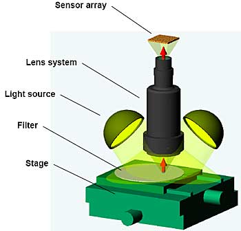 AZoM - The A to Z of Materials Online - Principle of the Light-Optical Microscope