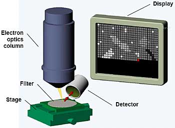 AZoM - The A to Z of Materials Online - Principle of the Scanning Electron Microscope (SEM)