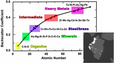AZoM - The A to Z of Materials Online - Backscatter Coefficient versus Atomic Number