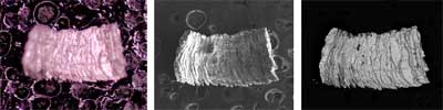 AZoM - The A to Z of Materials Online - Three images of the same metal chip (approximately 1 mm in length) illustrate the superiority of electron-beam analysis for particles