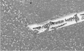 AZoM - Metals, Ceramics, Polymer and Composites : AuGe sputtering target regular cast, 50X magnification.