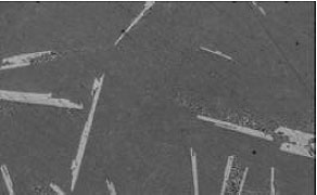 AZoM - Metals, Ceramics, Polymer and Composites : AuGe sputtering target regular cast, 50X magnif
