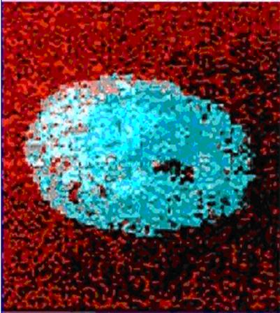 AZoM - Metals, Ceramics, Polymer and Composite : Time of Flight Secondary Ion Mass Spectrometry ( SIMS ) analysis showing contamination in the paint coating – Supplier Data by CSMA Ltd