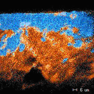 AZoM - Metals, Ceramics, Polymer and Composite : Secondary Ion Mass Spectrometry ( SIMS ) analysis showing lacquer coating penetrating into a wood substrate – Supplier Data by CSMA Ltd