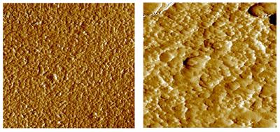 AZoM - Metals, Ceramics, Polymer and Composites : Particle Size and Particle Size Distribution – The Measurement and Modelling for Ceramic Casting Slips Using the Mastersizer 2000 : Microstructure changes observed during sintering. The micrograph on the left shows the dispersed particles within the ceramic green body. On the right the structure following sintering is shown for the same material. Here the grains have grown to form an interlocking network.