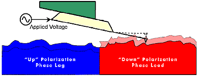 AZoM - Metals, Ceramics, Polymer and Composites - Oscillating polarization response microscopy, or piezoresponse (PR) imaging.