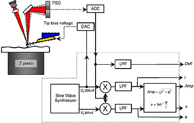 AZoM - Metals, Ceramics, Polymer and Composites - DSP: The output of the PSD can be processed to yield the DC deflection, amplitude and phase of an oscillating cantilever. First, the cantilever is excited with the sinusoidal output from a direct digital synthesizer (DDS). This device generates two sinusoidal waveforms 90° out of phase with each other, designated coswt and sinwt. Coswt is used to excite the cantilever with a “shake” piezo. This in turn excites the cantilever to oscillate, the motion of which is detected by the PSD. The analog to digital converter (ADC) converts this into a digital signal again. This digital signal is multiplied by both the coswt and sinwt component, then low-pass filtered to get the in-phase (i) and quadrature (q) components of the cantilever motion as described in the text. The low frequency deflection can also be extracted from the digitized PSD signal by simply low pass filtering. The same functionality can be obtained with analog electronics, though digital electronics have quite a few advantages.