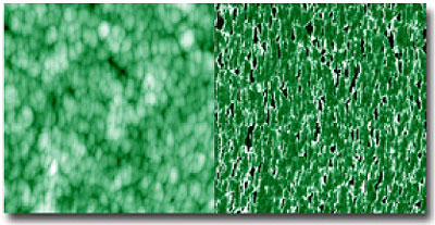AZoM - Metals, Ceramics, Polymer and Composites - Topography (l) and piezo response (r) of the highly conductive ZnO sample at a bias of 1.5 volts, 2μm scan. Sample courtesy K. Krishnan Lab, University of Washington