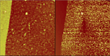 Topography (left) and TUNA current (right) images of a 100nm PPV layer on a conductive PANI layer. The sample bias voltage was -6V. 50£gm scan.