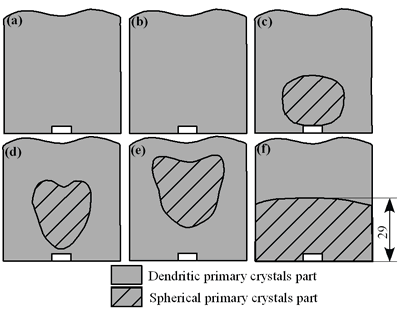 AZoJomo - AZoM Journal of Materials Online - Distribution of primary crystals of AC4CH alloy specimens; (a) without rod insertion,(b) Ex. 1 insertion at 918K, (c) Ex. 2 insertion at 908K, (d) Ex. 3 insertion at 898K, (e) Ex. 4 insertion at 888K with cooling rate of 12.7K/min, (f) Ex. 5 insertion at 888K with cooling rate of 4.8K/min.