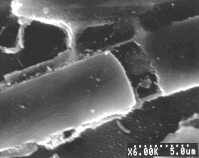 AZoJoMo – AZoM Journal of Materials Online : SEM-micrograph of AS41 based MMC after creep at 200°C and 50 MPa load.