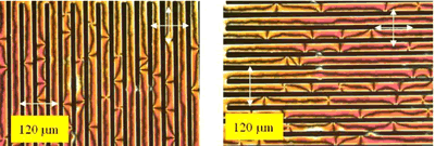 AZoJoMO - Journal of Materials Online - Polarized microphotographs of a photoaligned LC cell between crossed polarizers.