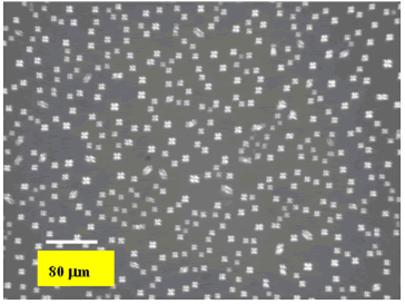 AZoJoMO - Journal of Materials Online - Polarized microphotograph of the evaporated surface of unexposed PI–VA film for 3 hours evaporation under crossed polarizers.